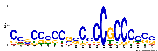 蛋白因子結合位點（motif）預測