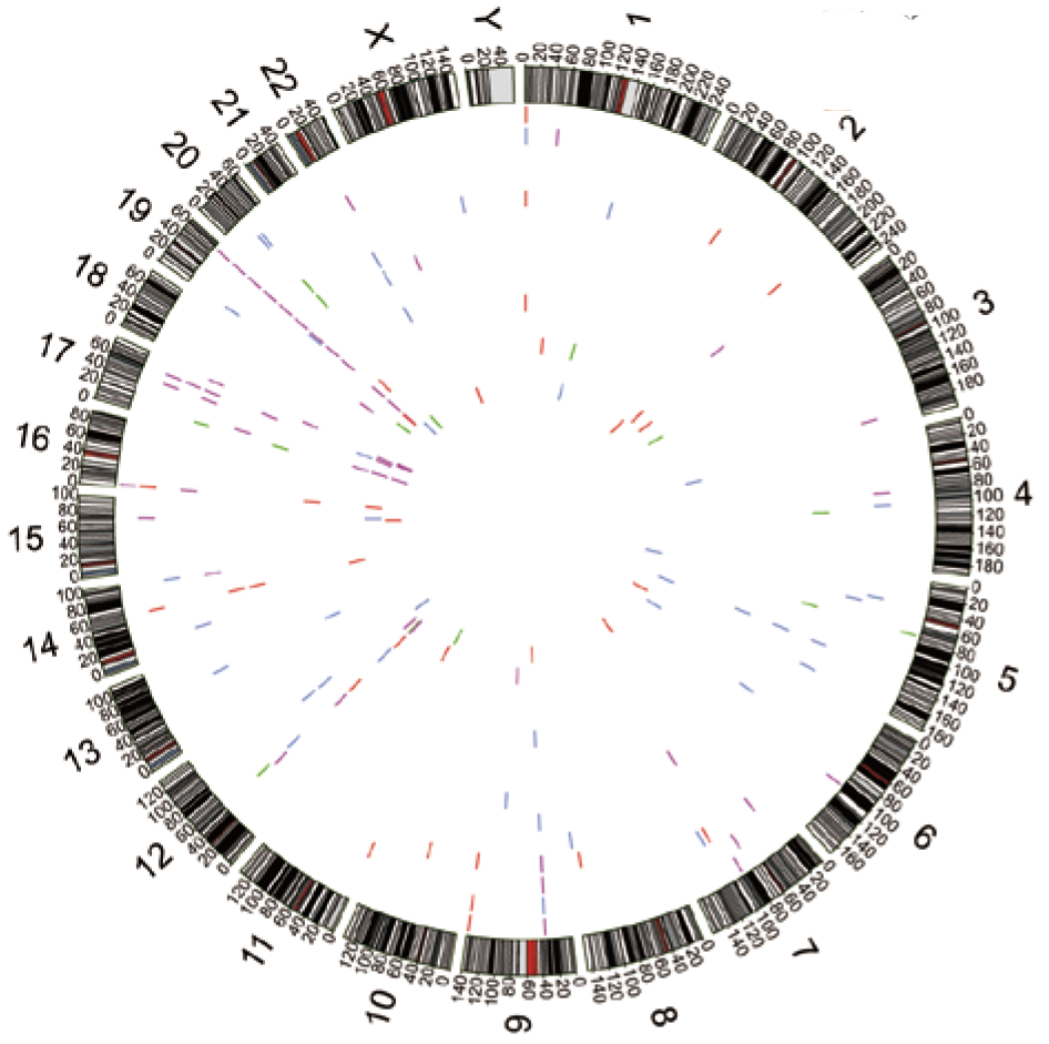 RNA甲基化富集峰区域的在基因组中的分布