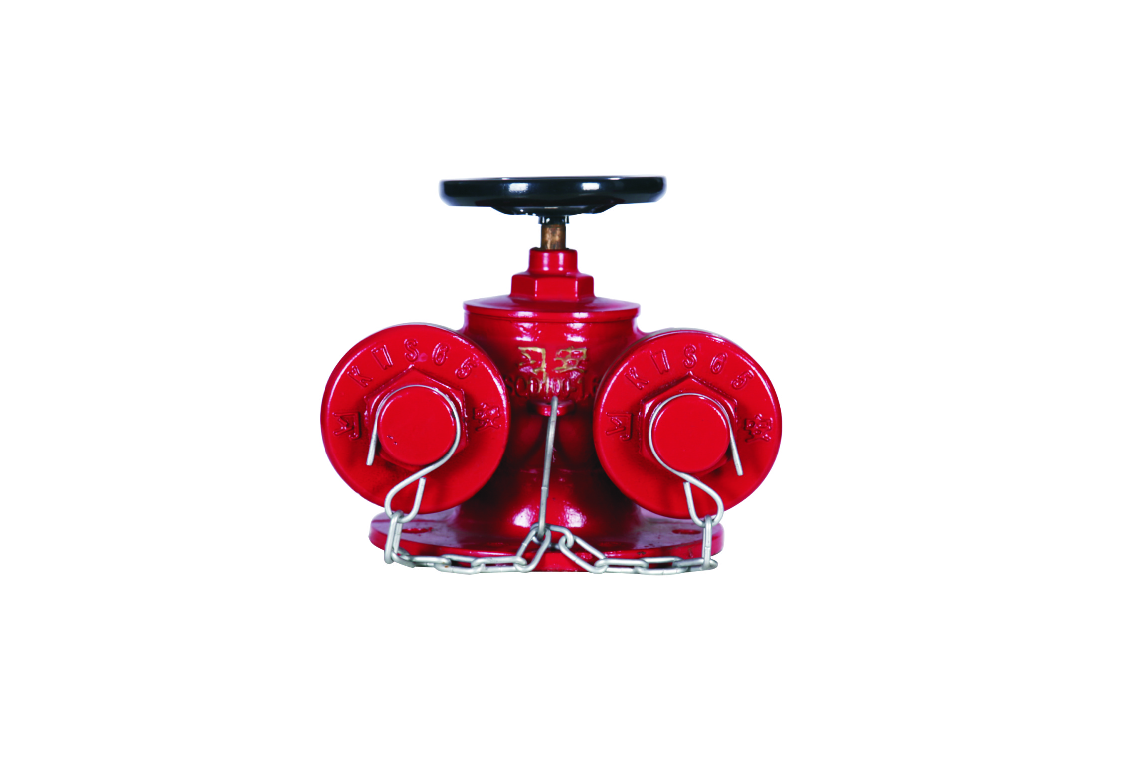 多用式消防水泵接合器150-1.6