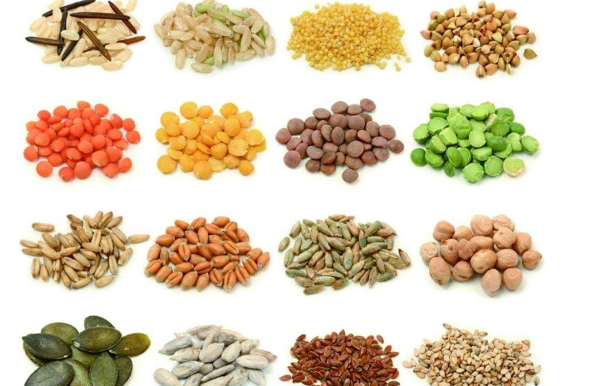 東北五谷雜糧 東北五谷雜糧