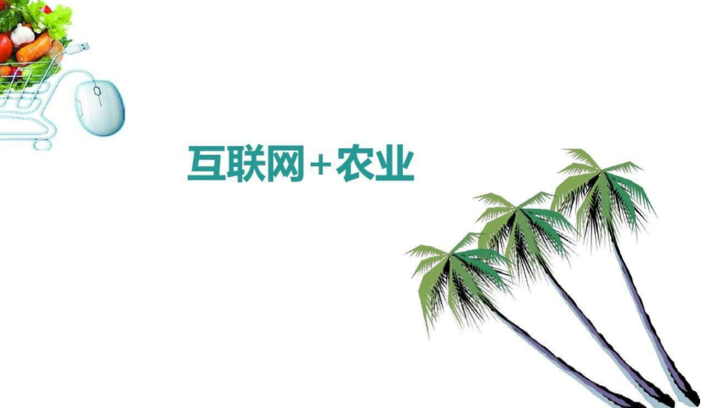 吉地嘉禾 吉地嘉禾