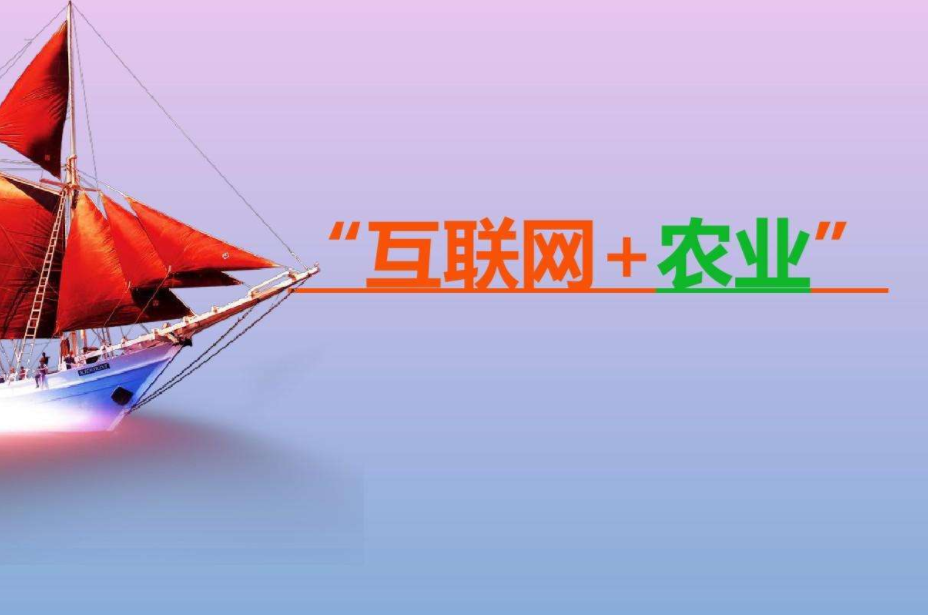 吉地嘉禾 吉地嘉禾