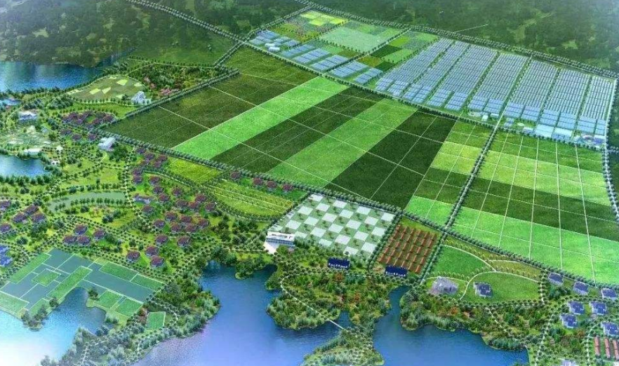 吉地嘉禾 吉地嘉禾