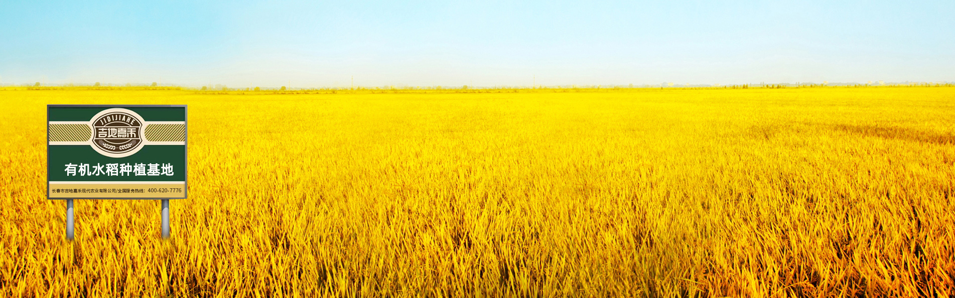 東北大米廠(chǎng)家批發(fā)