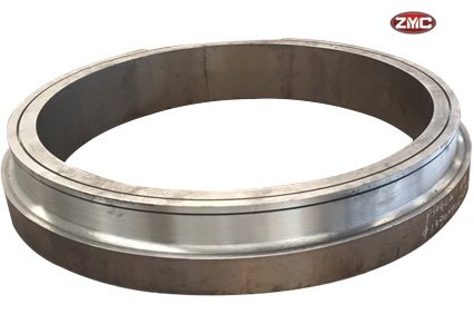 高壓排氣法蘭304LN