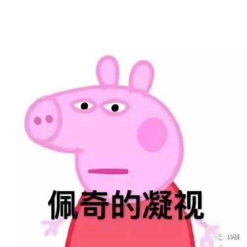 小豬佩奇 小豬佩奇