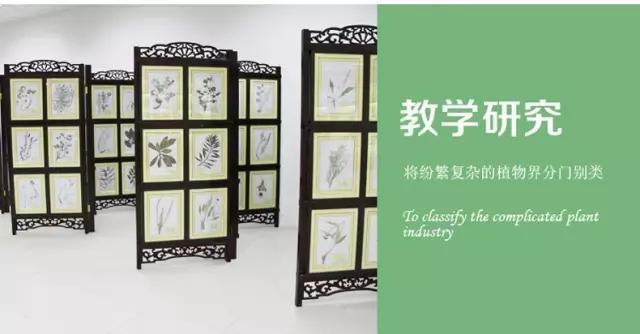 科學研究 科學研究