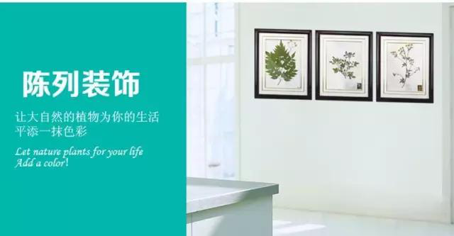 陳列裝飾 陳列裝飾