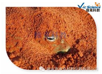 維克科教 維克科教