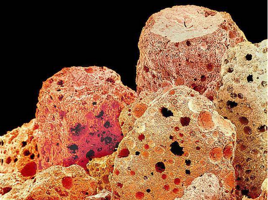 速溶咖啡玻片 速溶咖啡玻片