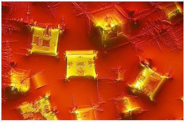 醬油玻片 醬油玻片