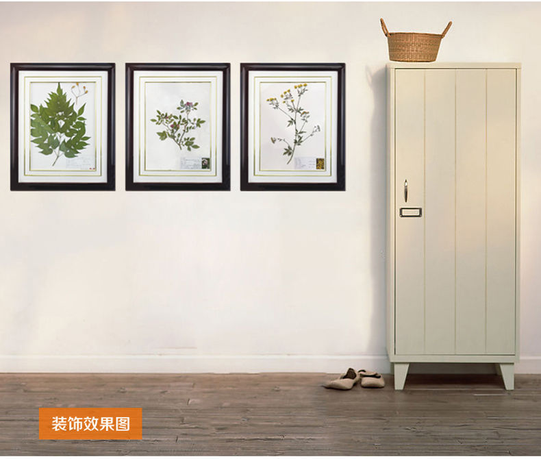 植物臘葉標(biāo)本