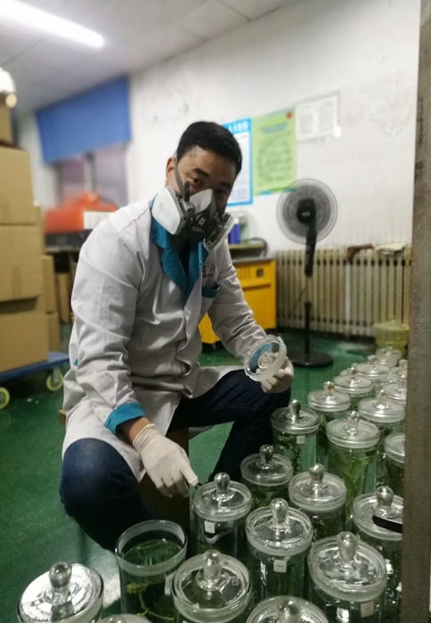 組胚病理切片 組胚病理切片