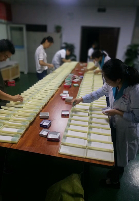 組胚病理切片 組胚病理切片