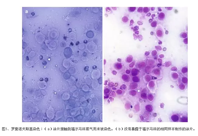 新鄉市維克科教儀器有限公司