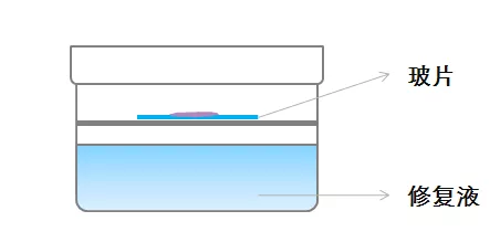 新鄉市維克科教儀器有限公司