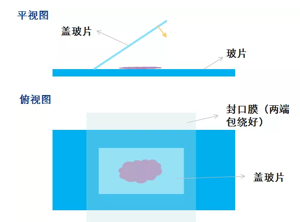 新鄉市維克科教儀器有限公司