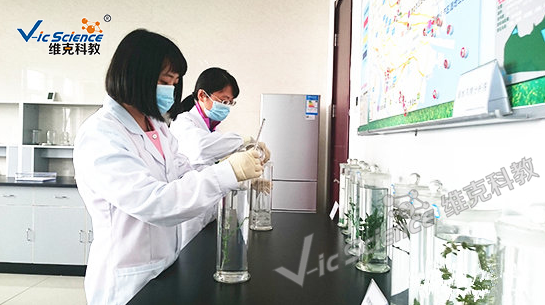 浸制植物標(biāo)本