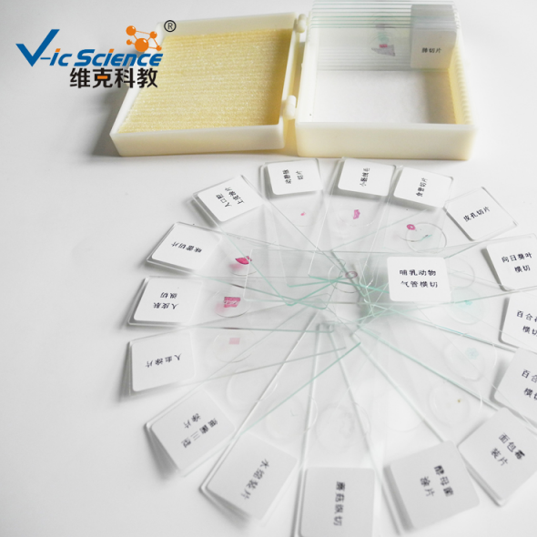 新鄉(xiāng)市維克科教儀器有限公司