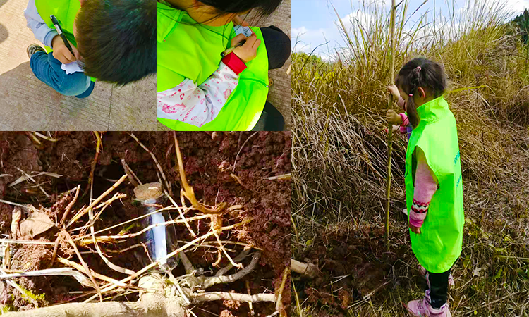 鑫川電許愿瓶環節 鑫川電許愿瓶環節