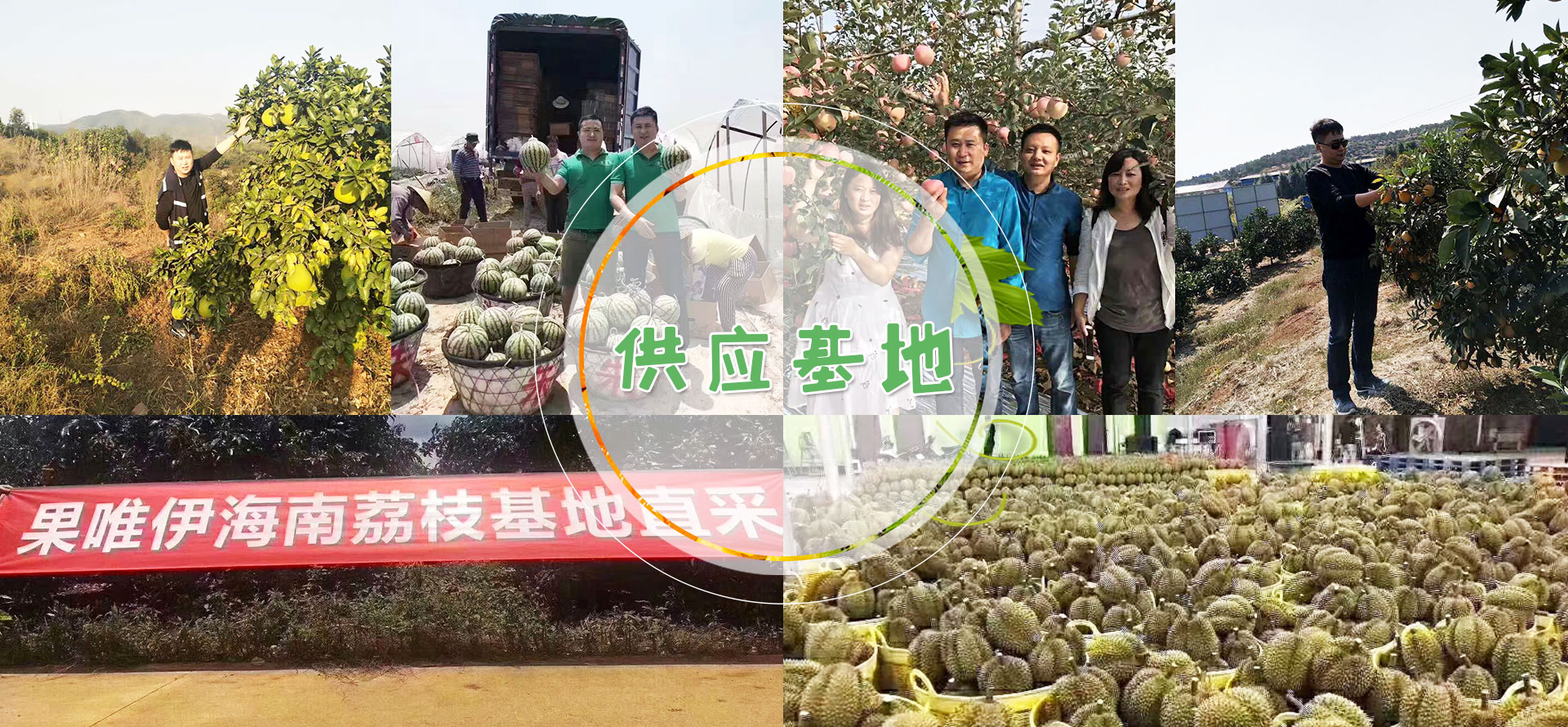 果唯伊水果加盟