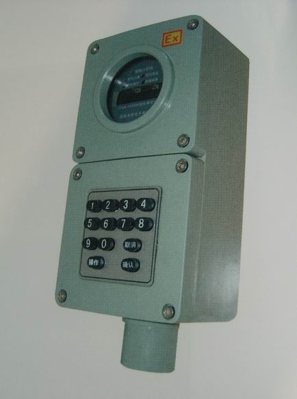 BLZ50系列防爆（稱重密碼器）操作柱（IIB、IIC）