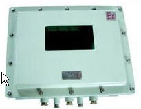 BDXY81系列防爆顯示器儀表箱（II B、II C）