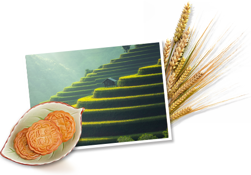 靖宇縣新興食品