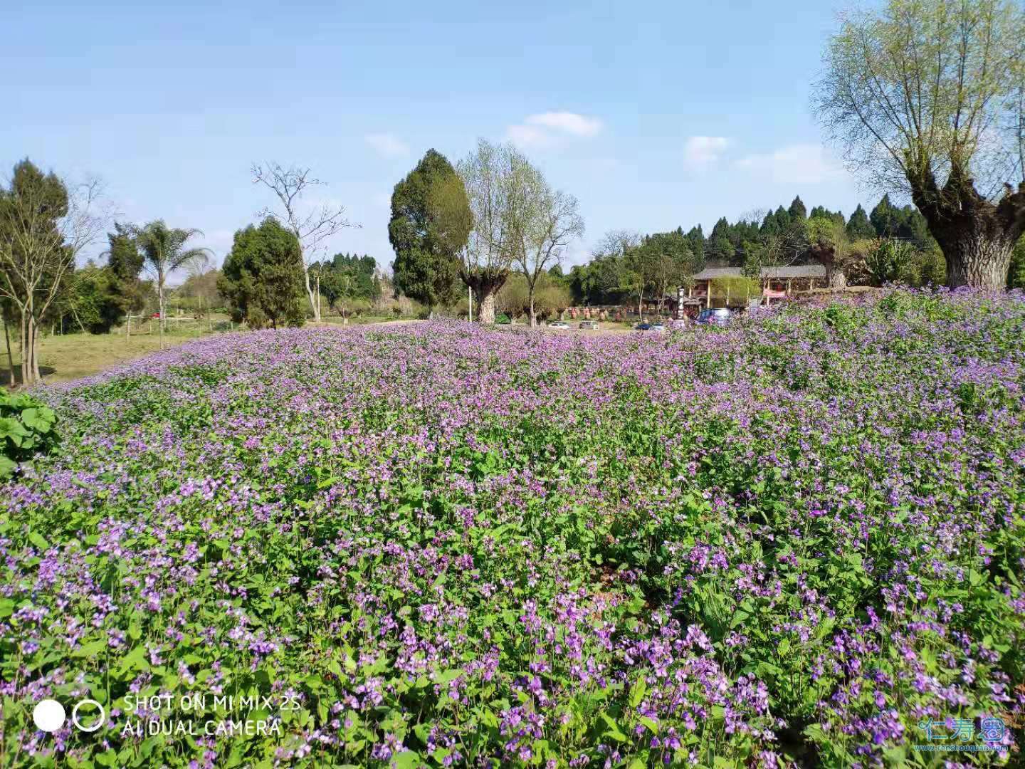 響水六坊