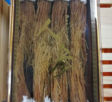 集安乐虎手机官网乐虎APP苹果安装 集安乐虎手机官网乐虎APP苹果安装