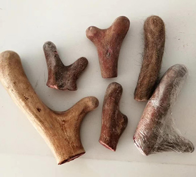 东北鹿产品 东北鹿产品