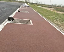 上海臨港臨港綜合區(qū)丹漪路彩色透水路面