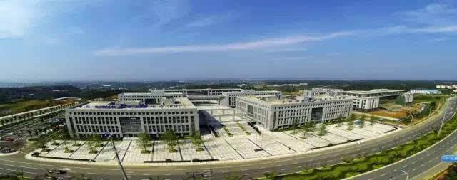 綠化-四川雨禾源綠建科技有限公司