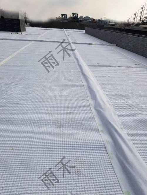 虹吸高分子異形片-四川雨禾源綠建科技有限公司