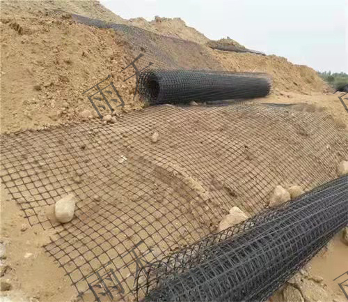 土工格柵-四川雨禾源綠建科技有限公司