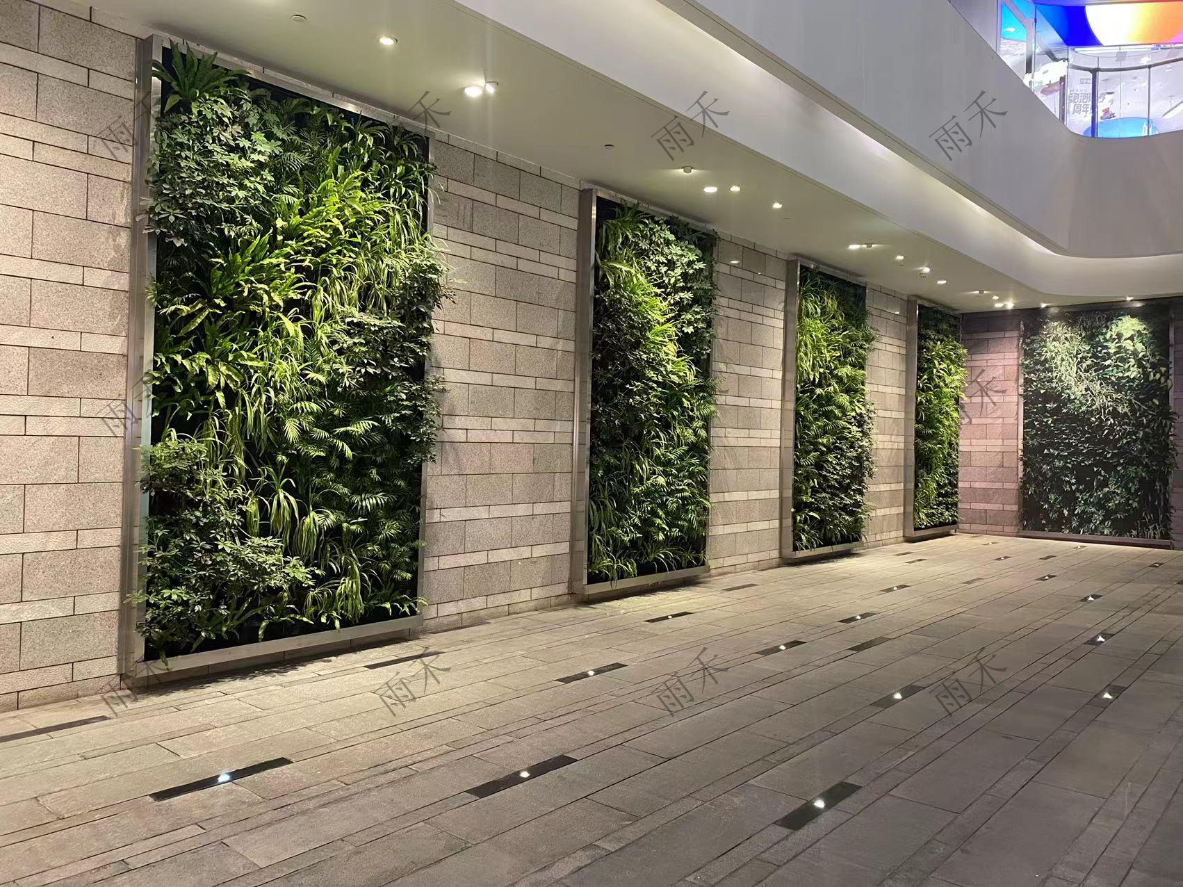 室內(nèi)綠化-四川雨禾源綠建科技有限公司