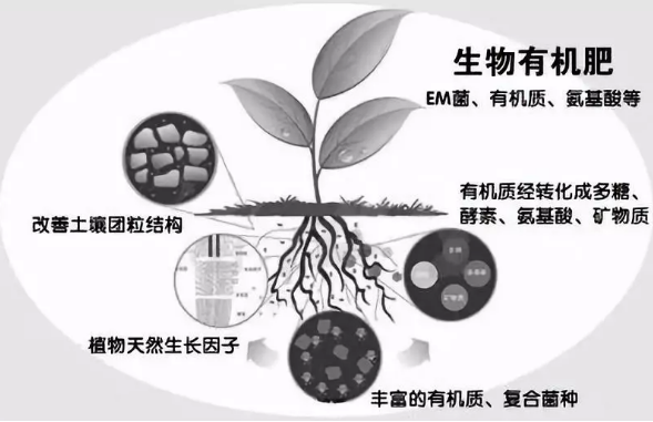 警惕：国家农业部登记的微生物肥料只有这些！