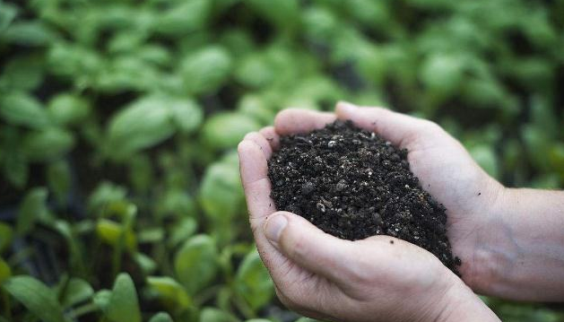 生物有机肥对农业的贡献