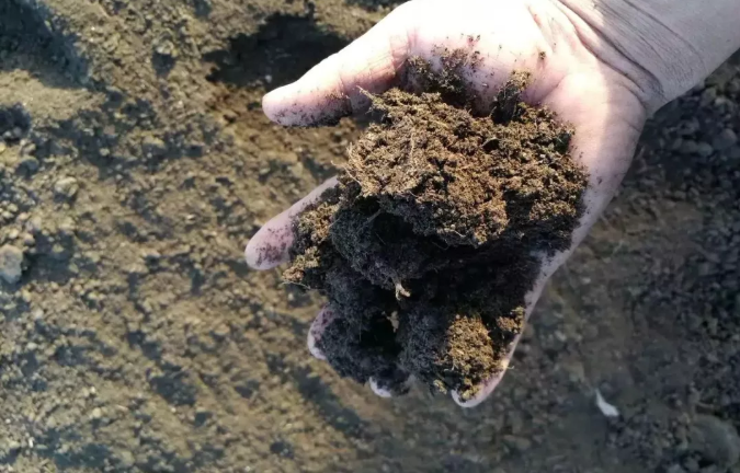 堆肥——生物有机肥
