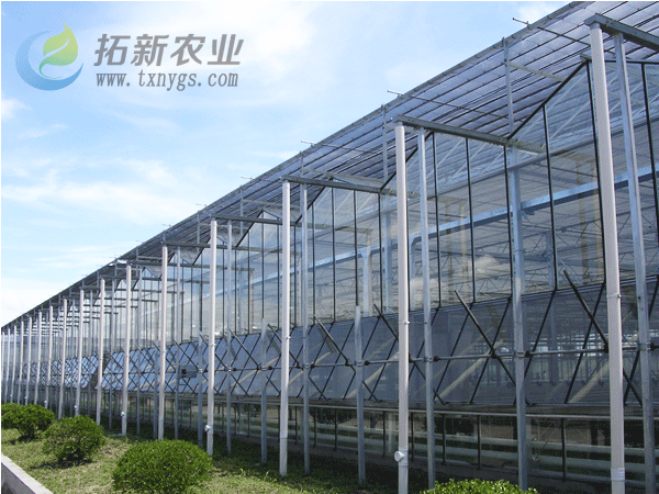 上海拓新溫室