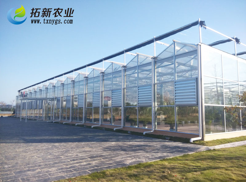 玻璃溫室如何搭上休閑農業鄉村旅游的春風
