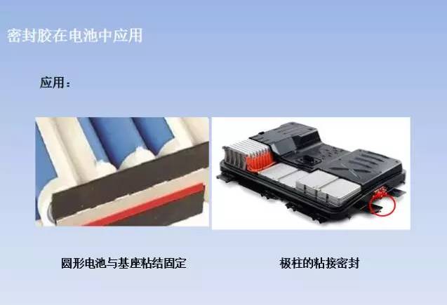 球速网页版