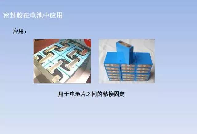 球速网页版