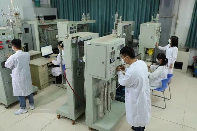 球速网页版