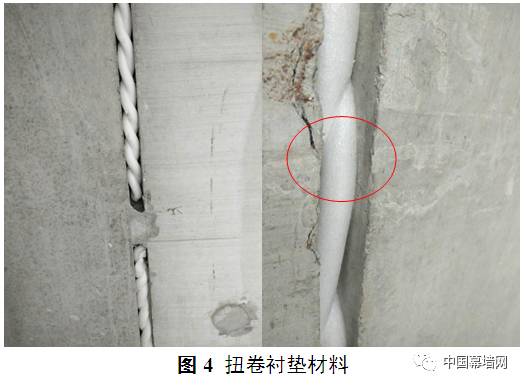 球速网页版