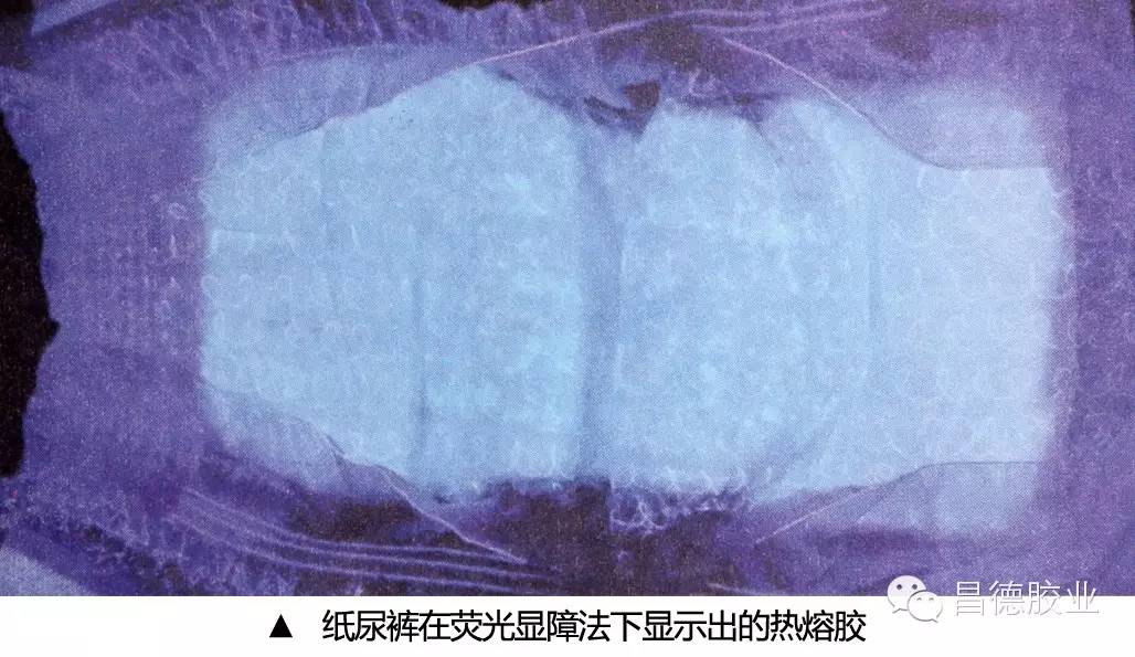 球速网页版