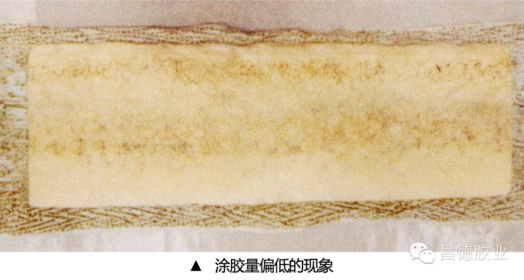 球速网页版