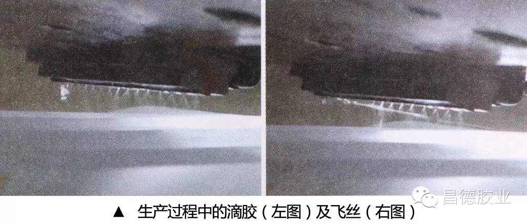 球速网页版