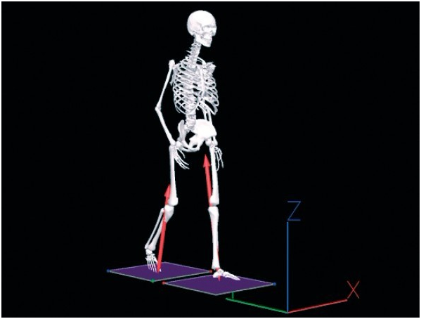 VISUAL 3D步態(tài)體態(tài)分析軟件