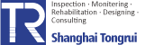  Shanghai Tongrui Civil Engineering Technology Co., Ltd